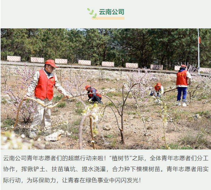 微信图片_20250313145306.png