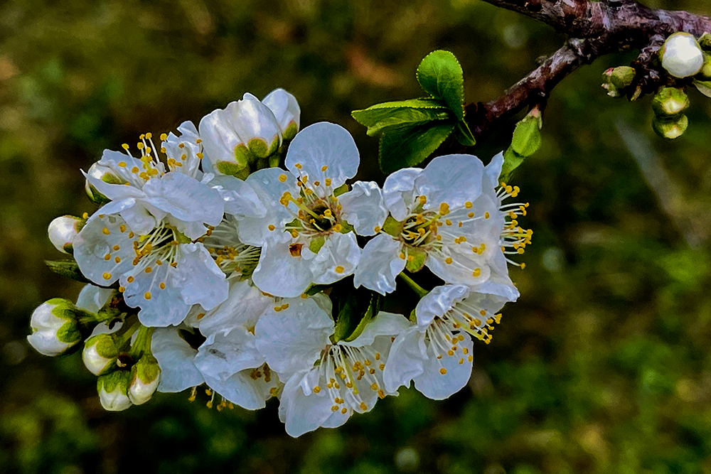 IMG_2842 拷贝.jpg