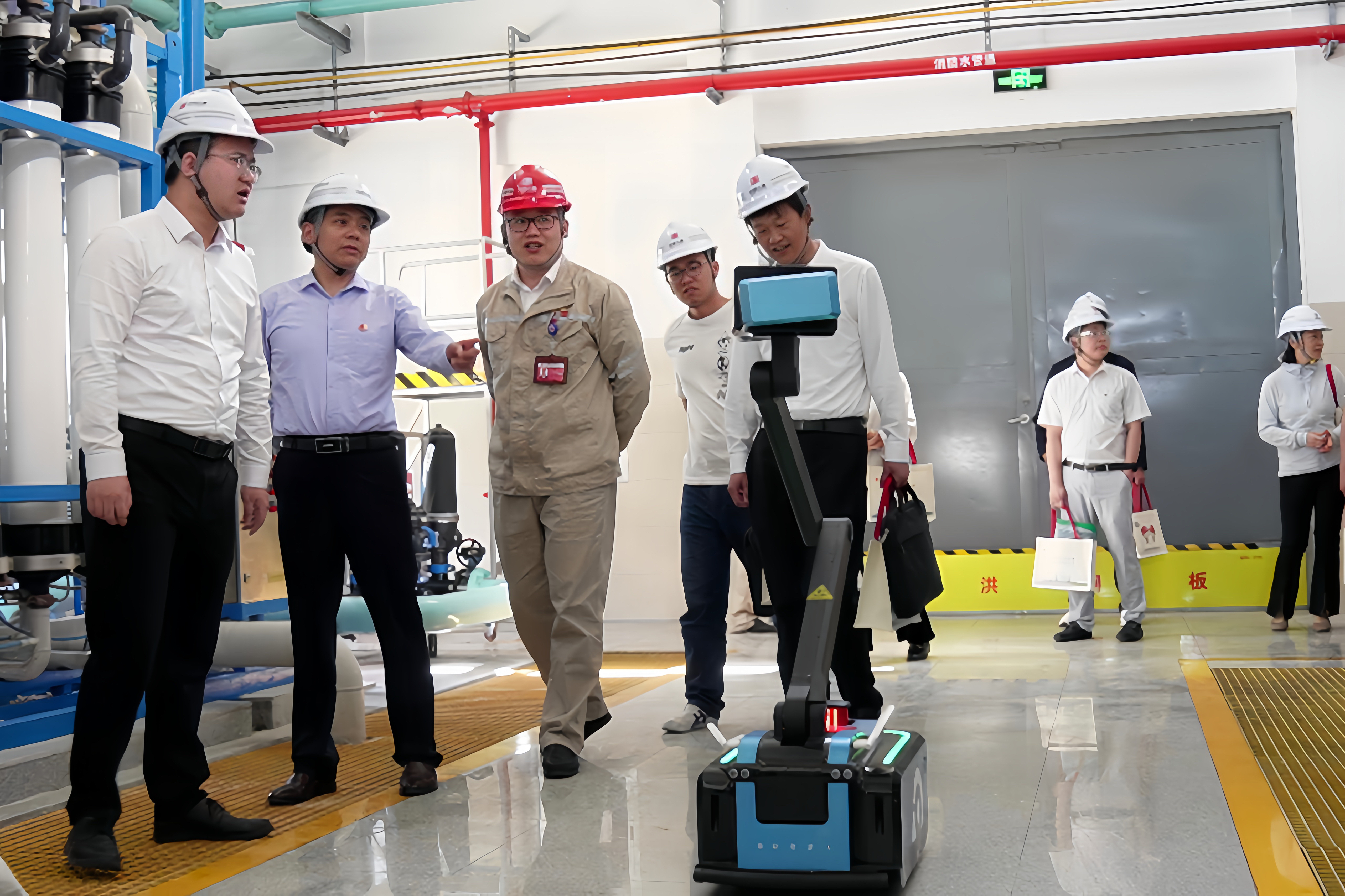 1716356005251082976.jpg 8.jpg